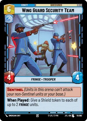 Wing Guard Security Team