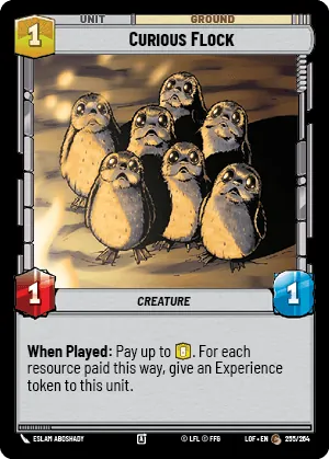 Curious Flock