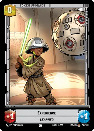 Experience — Standard